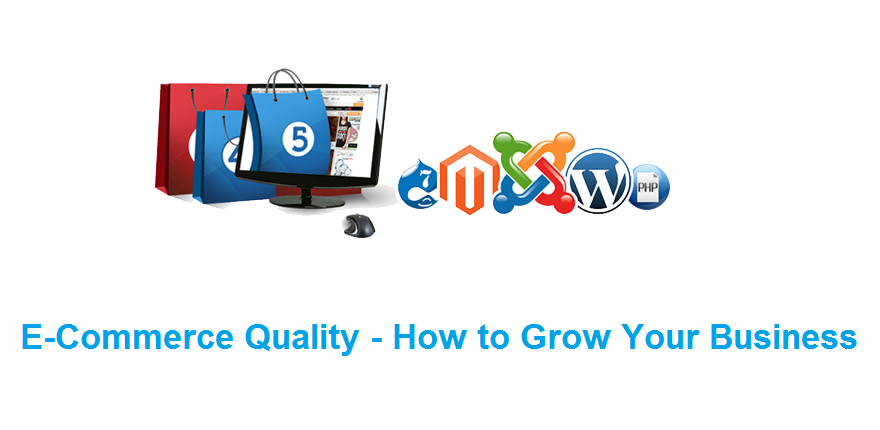 Ecommerce Quality – How to grow your business?
